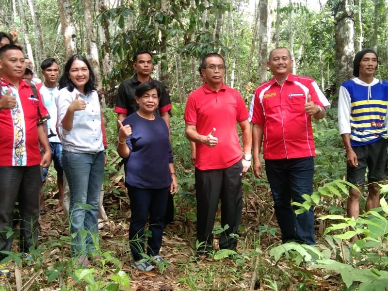Virus Corona Mewabah, Stok dan Harga Sembako Masih Stabil