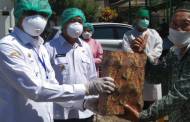 19 Pasien Positif Covid-19 Sembuh Diperbolehkan Pulang, Ini Rinciannya