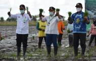 Gubernur Kalteng dan Menteri Pertanian Tanam Padi Serentak di Pulpis