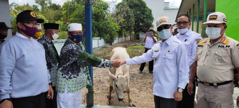 Bupati Serahkan Bantuan Hewan Kurban dari Pemkab Katingan