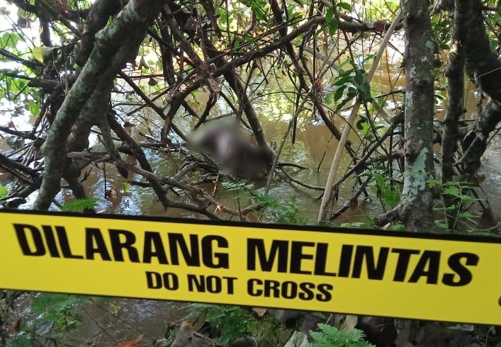 Usai Ritual Adat “Mangahau Antang