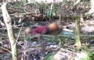 11 Hari Hilang, Warga Tewang Karangan Ditemukan Meninggal di Hutan
