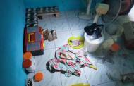 Modus Penipuan Baru, Ada Sarang Walet Palsu Berbahan Dasar Mie Soun