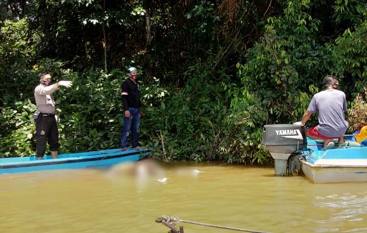 Konflik Kinipan,DPW IHB Kalteng Minta Penegak Hukum Profesional