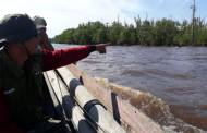 Turun ke Sungai Lampuyang, BKSDA Disambut Empat Ekor Buaya