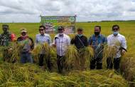 DPRD Dukung Peningkatan Mutu Pertanian untuk Kesejahteraan Petani