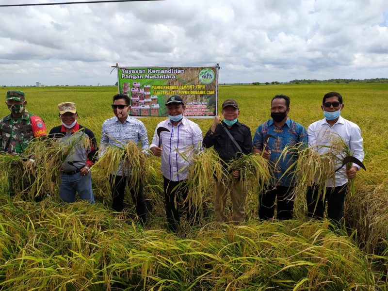 Polisi Tangkap Tiga Pencuri Traktor Pembajak Sawah