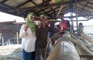 HARATI Ingin Berdayakan Petani Rotan untuk Ekonomi Kreatif