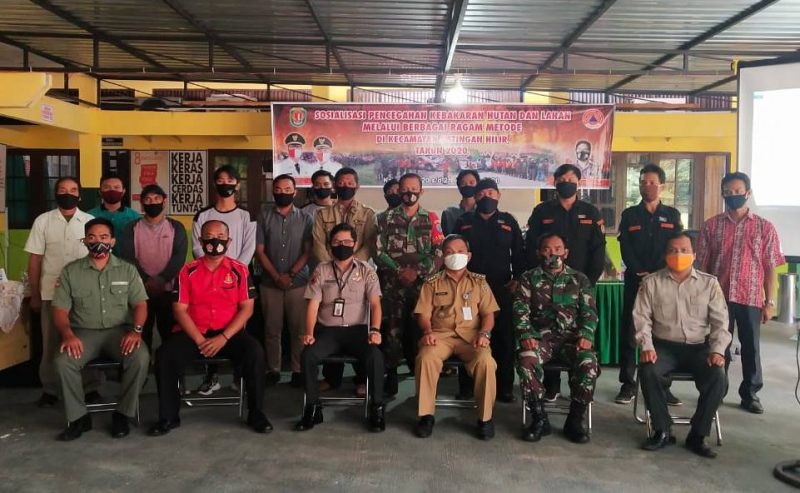 Heboh, Buaya Besar Muncul di Sungai Cempaga dan Mentaya