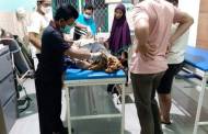 Sesosok Mayat Terbujur Kaku di Lokasi Bangunan Sarang Walet