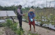Dukung Ketahanan Pangan Nasional, Polsek Hanau Sambangi Petani Lokal