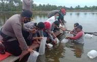 Bupati Tebar 76 Ribu Benih Udang di Tambak Tradisional Masyarakat