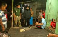 Mancing Ikan, Warga Sampit Dapat Anak Buaya