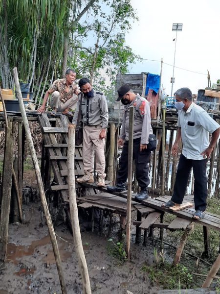 Waspada Musim Kawin dan Bertelur, Buaya Muara Kembali Telan Korban