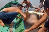 Dua Hari Menghilang, Mayat ABK Ditemukan Mengapung Jadi Mayat