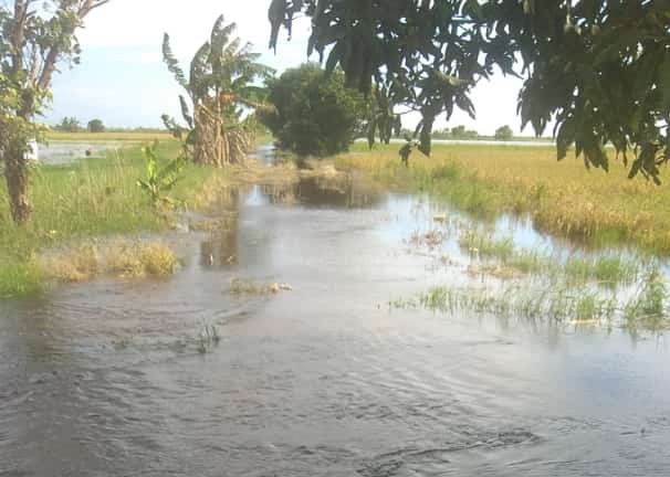 Debit Air Meningkat, Risiko Banjir Harus Menjadi Perhatian