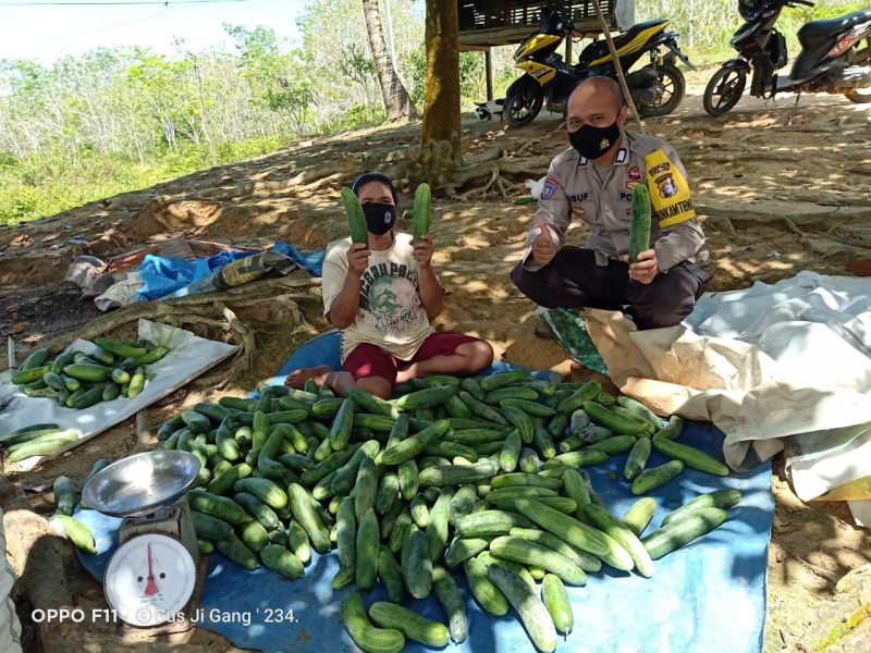 Sektor Perikanan Perlu Anggaran yang Memadai