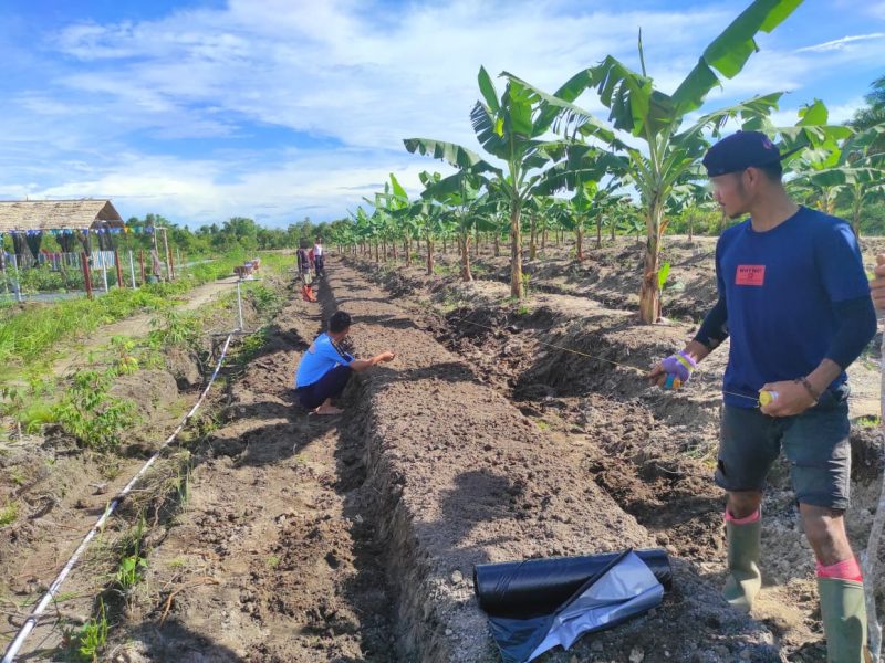 Lahan Plasma Wajib Disiapkan Perusahaan