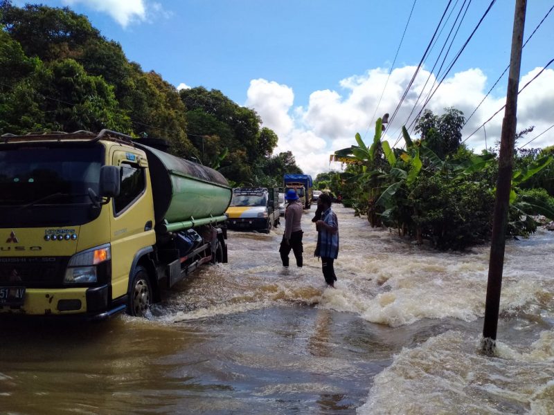 Gubernur Kalteng Turun Tangan, Ribuan Kayu Log Disegel Sementara