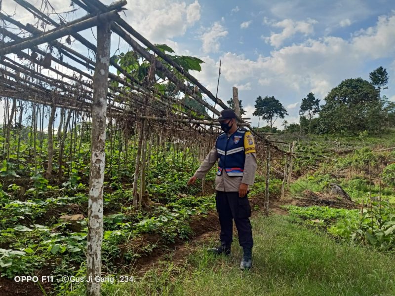 Jaringan Internet Harus Dinikmati Hingga Pelosok