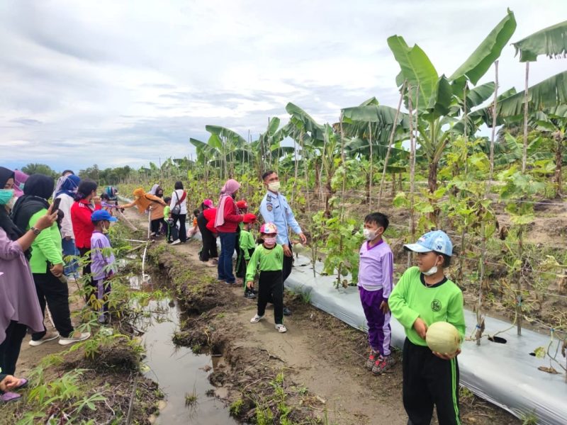 Agrowisata Berikan Manfaat dan Edukasi Bagi Anak PAUD