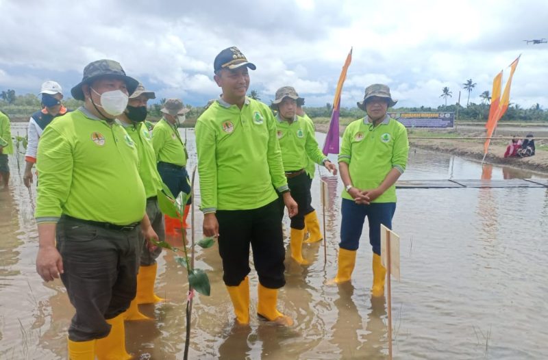 Pemkab Sukamara Rehabilitasi 100 Hektar Mangrove - Radar Kalteng