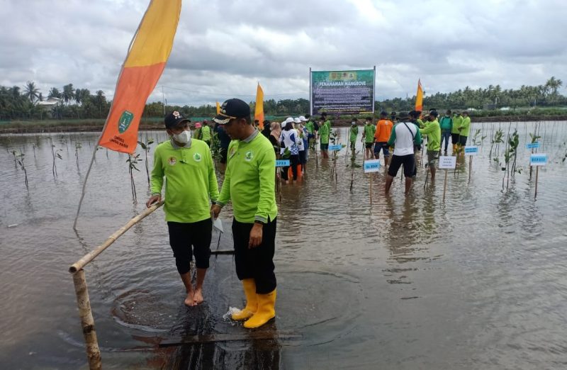 Pemkab Berupaya Pulihkan Ekonomi Masyarakat