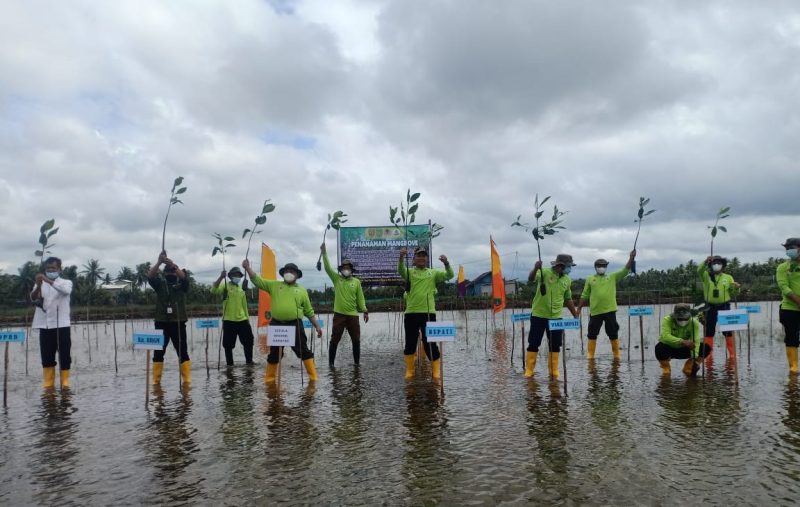 Pemkab Sukamara Rehabilitasi Mangrove Kritis