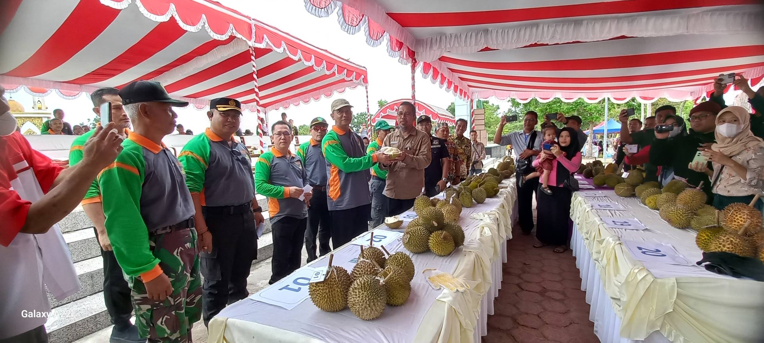 BAPPEDA : Temukan Bibit Unggul Untuk Dibudidaya