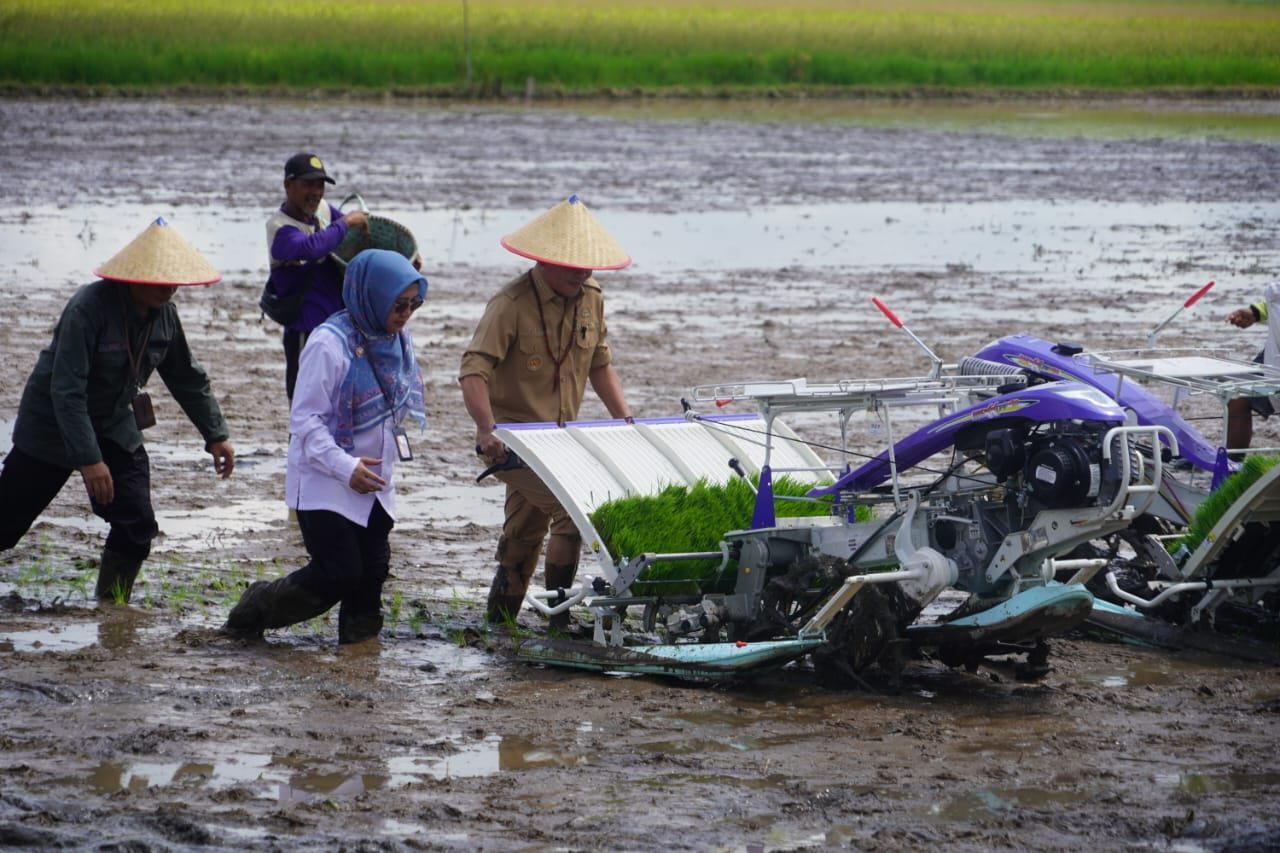 Gubernur Kalteng Dorong Partisipasi Masyarakat Dalam Sektor Pertanian