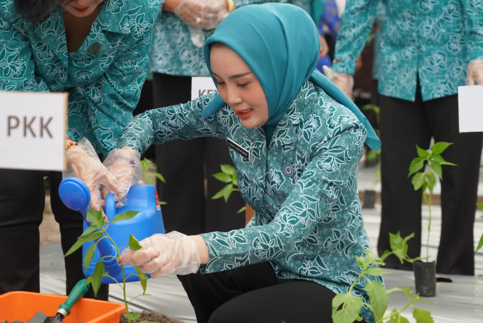 Ketua TP PKK Kalteng Ajak Masyarakat Manfaatkan Pekarangan