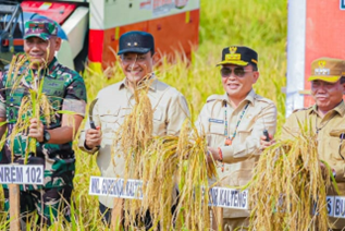 Pemprov Kalteng Siapkan 150 Miliar untuk Pembangunan Jalan Pertanian di Kapuas