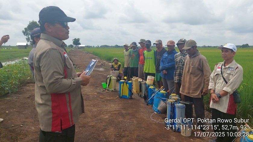 Laksanakan Gerdal Swadaya Tangani Hawar Daun di Kapuas
