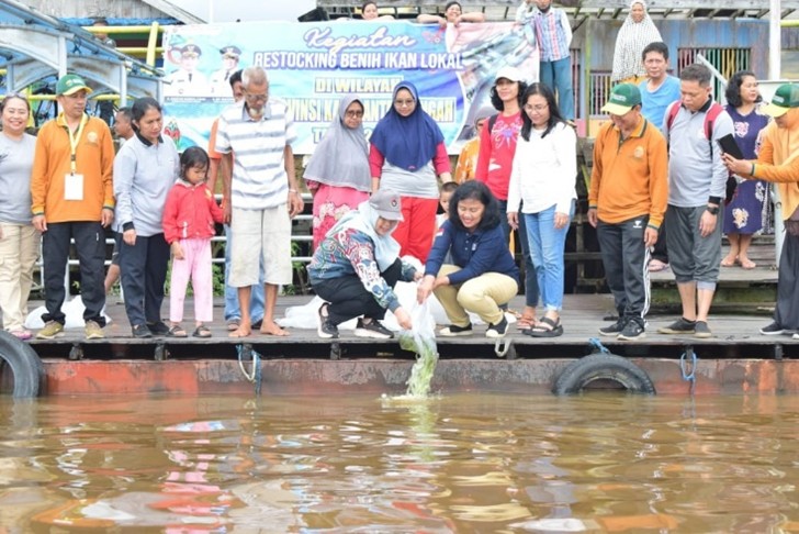 Dislutkan Restocking 5.000 Benih Ikan di Sungai Arut