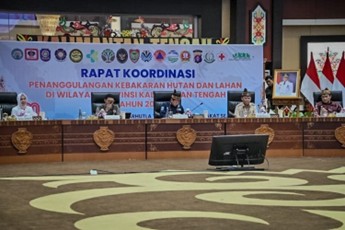 BNPB RI Sediakan Personel dan Sarpras Tambahan Tangani Karhutla di Kalteng